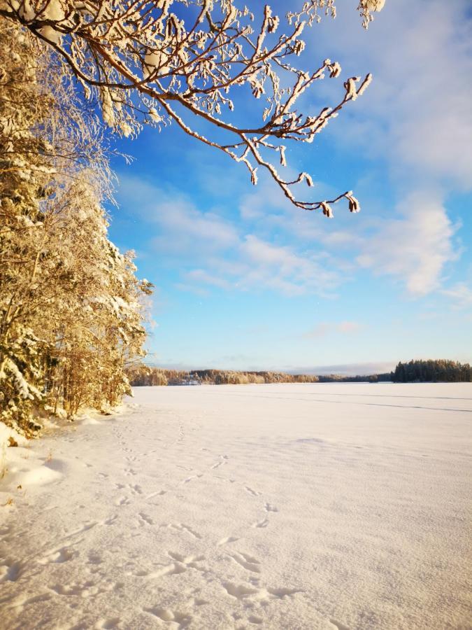 Patalaiska Cottage With Private Beach Ruokolahti Bagian luar foto